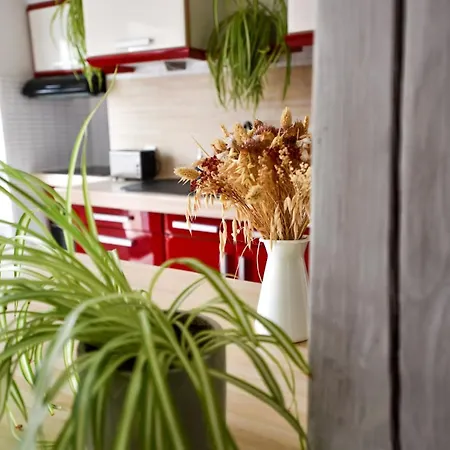 L'echappee Niortaise By Cozylife Apartmán *
