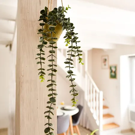 Apartmán L'echappee Niortaise By Cozylife *